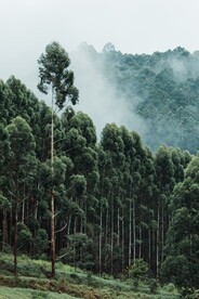 美丽风景风光 