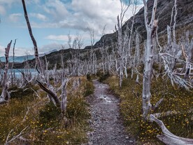 美丽风景风光 