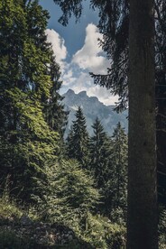 美丽风景风光 