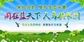 保护鸟类