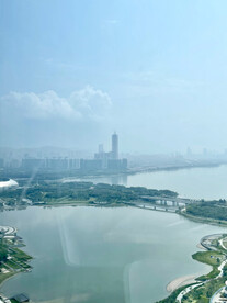 深圳湾