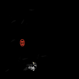  手绘古风水墨花鸟插画背景图片