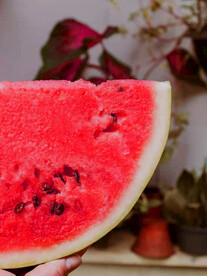 西瓜  图片 