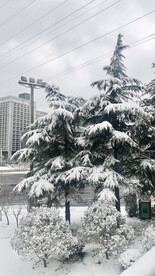 城市雪景