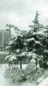 城市雪景