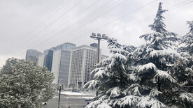 城市雪景