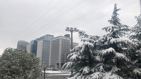 城市雪景