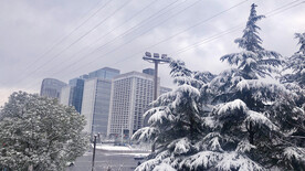 扬州雪景
