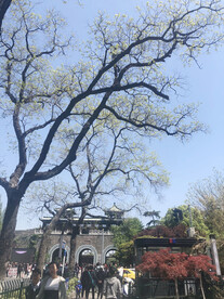 早春美景