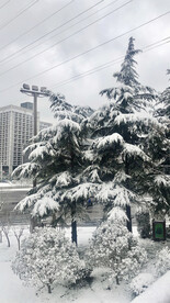 城市雪景