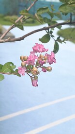 自然景观