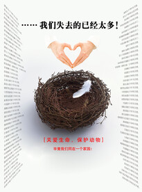 保护动物公益海报