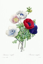 花卉