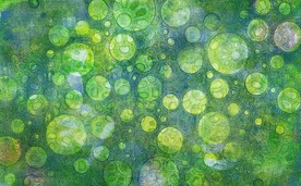 数码印花