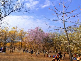 大自然风光