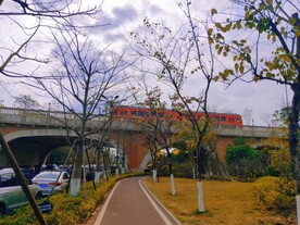 大自然
