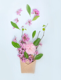 鲜花