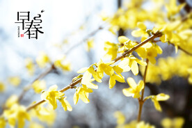 观赏性花木
