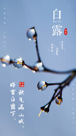 白露