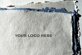 logo样机