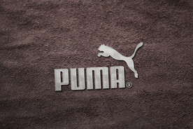 logo样机