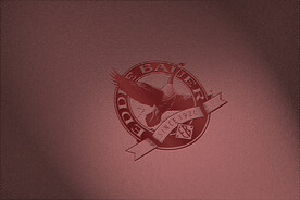 logo样机