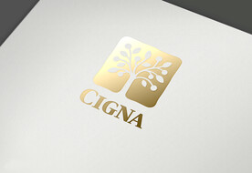 logo样机