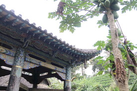 茶山 亭子 云南