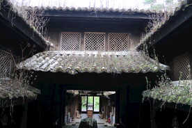 茶屋 老屋 青苔