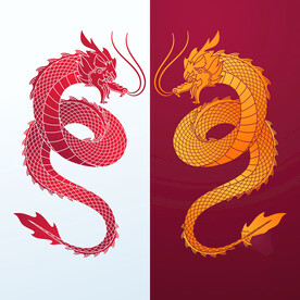 龙 