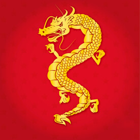 龙 