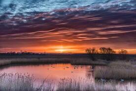 夕阳