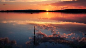 夕阳