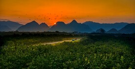 夕阳