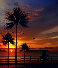 夕阳