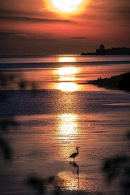 夕阳