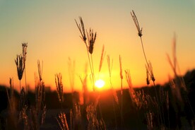 夕阳