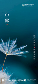 二十四节气海报 白露海报