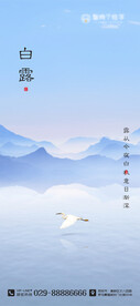 二十四节气海报 白露海报