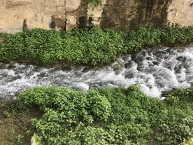 涓涓溪流自然景色