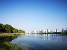 南湖风景 
