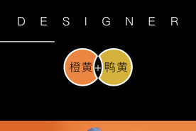 色卡 