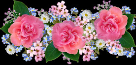 玫瑰花