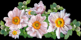 鲜花