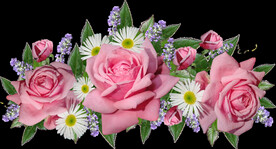 玫瑰花