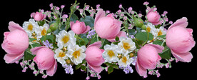 玫瑰花