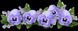鲜花