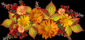 鲜花