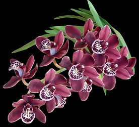 鲜花