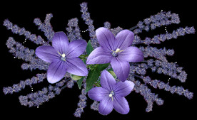 鲜花